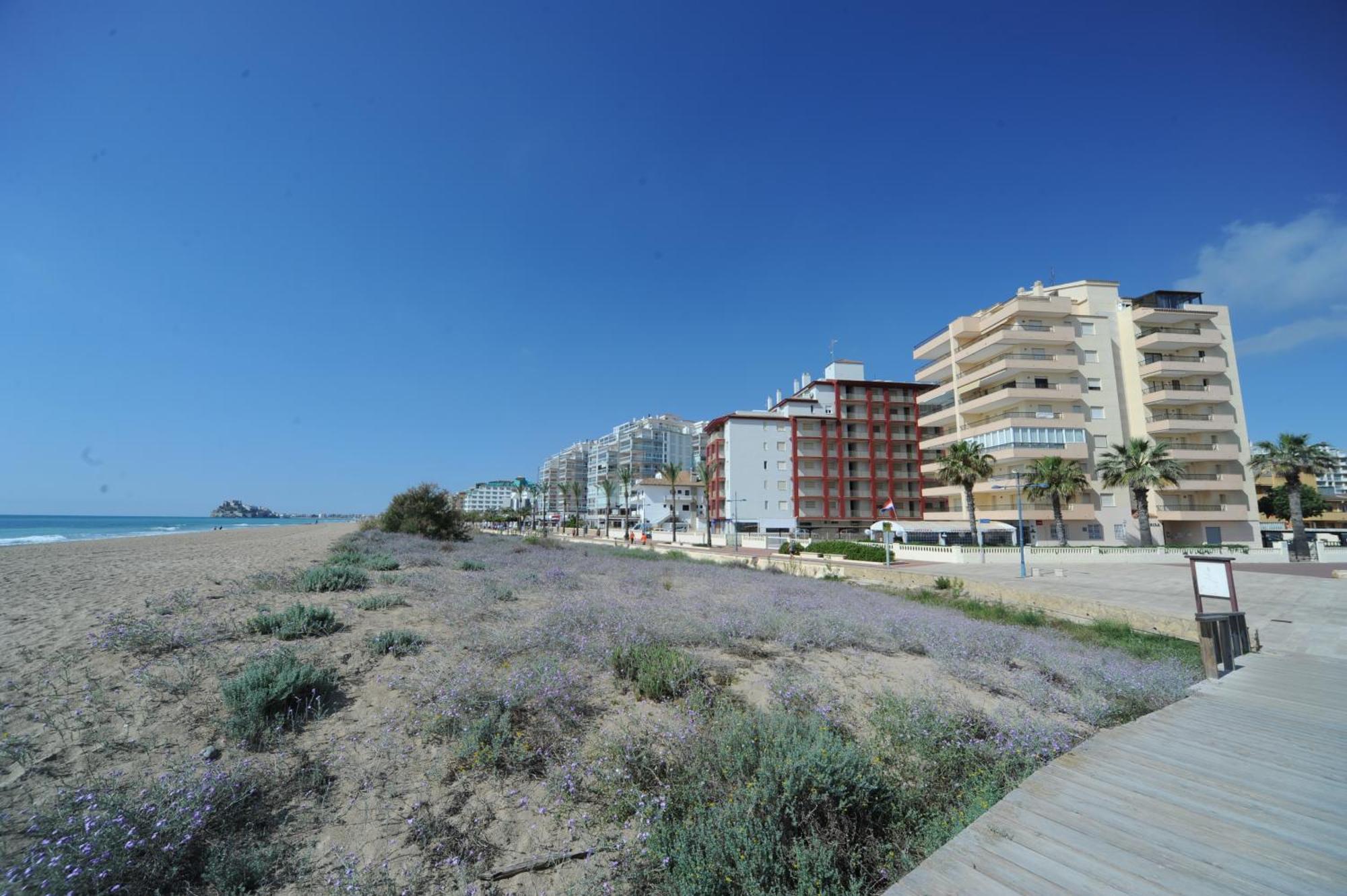 Marina Vistamar Orangecosta Apartment Peniscola Luaran gambar