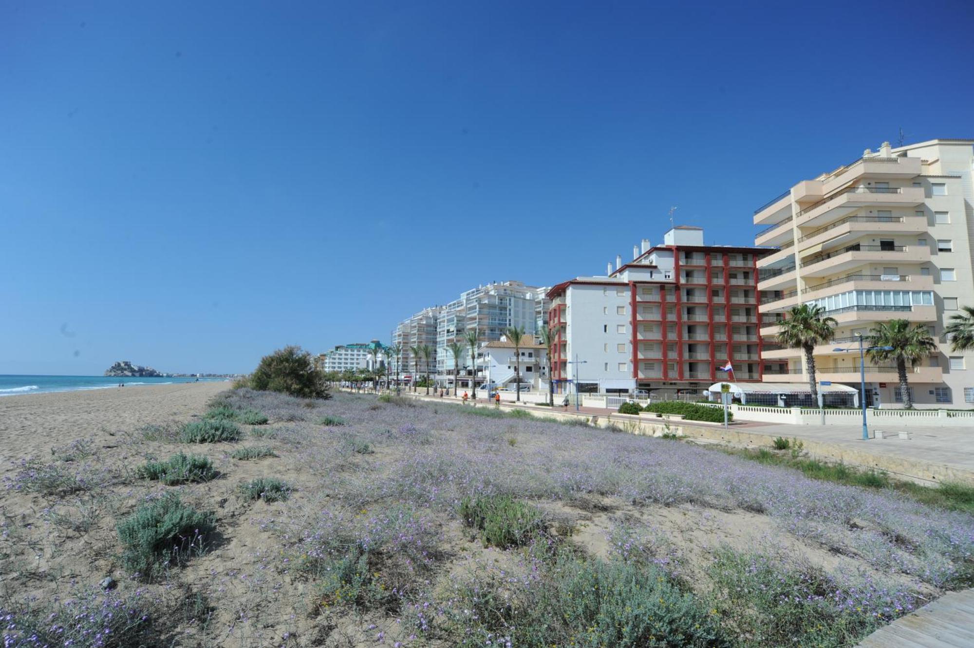 Marina Vistamar Orangecosta Apartment Peniscola Luaran gambar